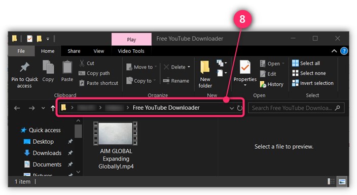 viddly youtube downloader review