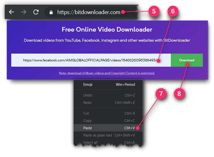 aimglobal-fbvideo-bitdownloader