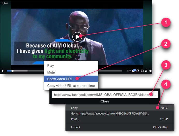 aimglobal-fbvideo-copyurl