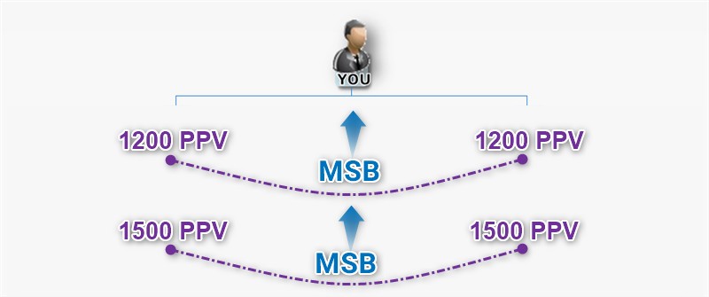 aimglobal-msb-pairs